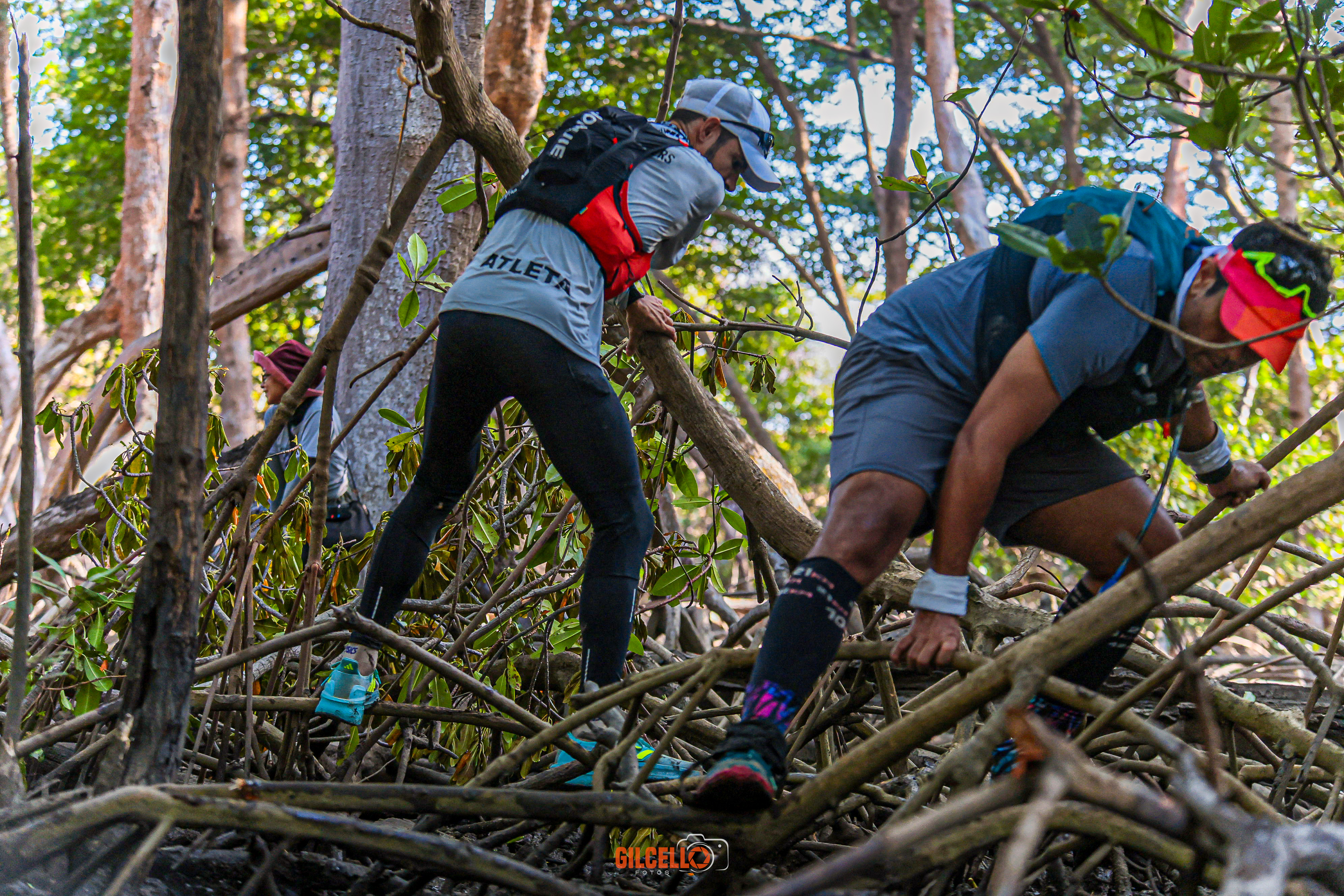 Corredores en el manglar del Desafío Delta Parnaíba