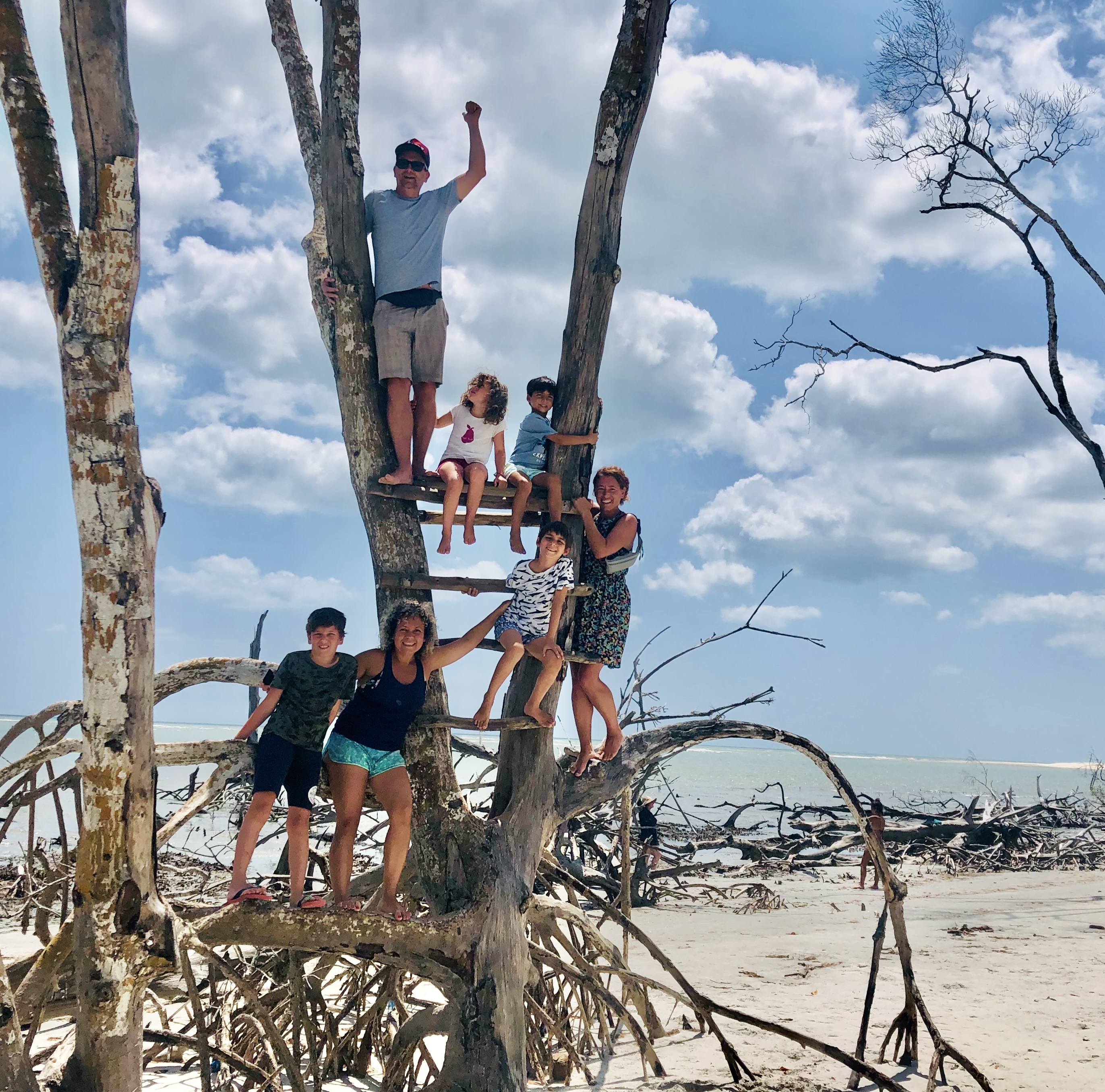 Familia subida a un árbol en la playa