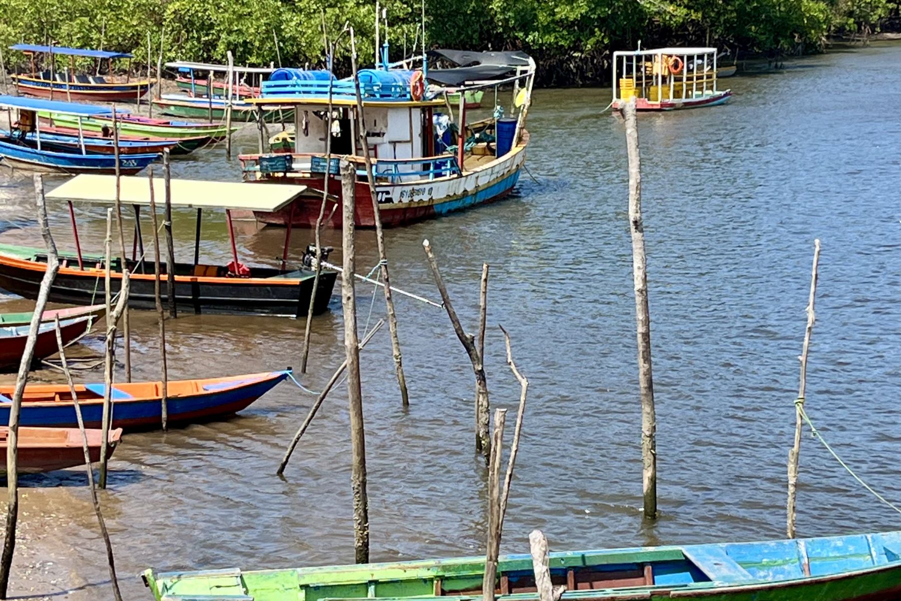 Manglar Potiguara con barcas tradicionales